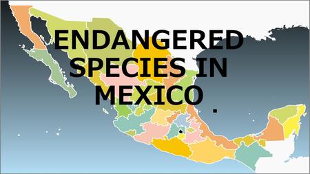 ENDANGERED SPECIES IN MEXICO. Mexico is a country rich in wildlife and makes up about 10 percent of the species living in the world; at least half of.