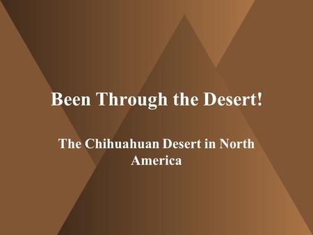 Been Through the Desert! The Chihuahuan Desert in North America.