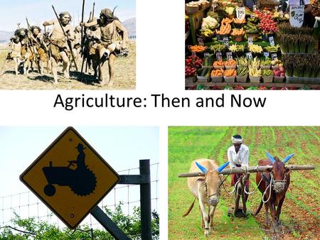 Agriculture: Then and Now. Agriculture: Then was developed at least 10,000 years ago Evidence points to the Fertile Crescent of the Middle East as the.