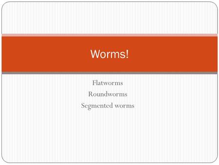 Flatworms Roundworms Segmented worms