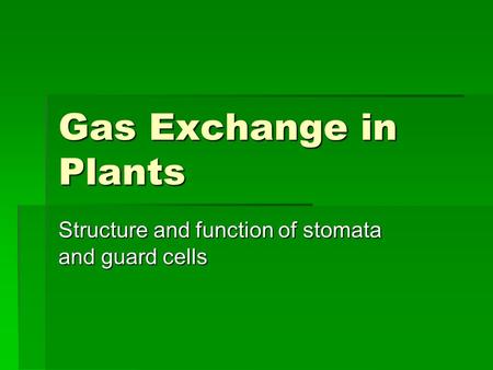 Gas Exchange in Plants Structure and function of stomata and guard cells.