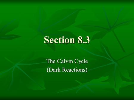 Section 8.3 The Calvin Cycle (Dark Reactions). Calvin Cycle Calvin Cycle Calvin Cycle: second biochemical pathway of photosynthesis that uses ATP and.