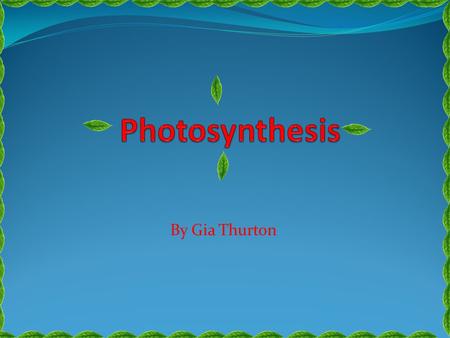 By Gia Thurton How Do plants eat?? We all know that plants don’t just get up and make some food. But they are living things… so they have to eat somehow!