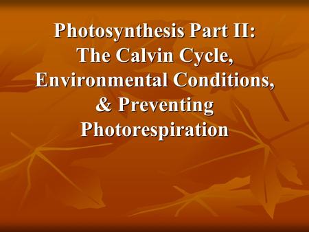 Photosynthesis: An Overview