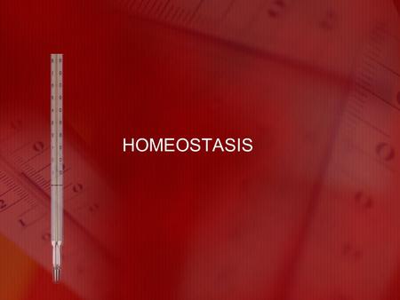 HOMEOSTASIS. What is homeostasis? The maintenance of a stable internal environment Maintains the conditions necessary to support life.