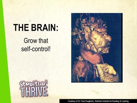 THE BRAIN: Grow that self-control! Giuseppe Arcimboldo (1593, Italy) Courtesy of Dr. Paul Dougherty, Stanford Institute for Reading & Learning.