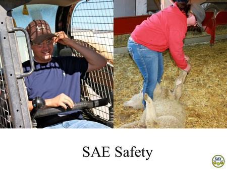 SAE Safety. Why is SAE safety important? Agriculture is one of the most dangerous industries in the nation and youth working in agriculture have a higher.