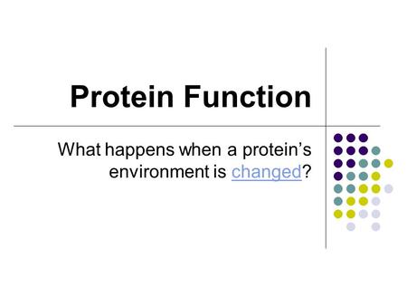 Protein Function What happens when a protein’s environment is changed?changed.