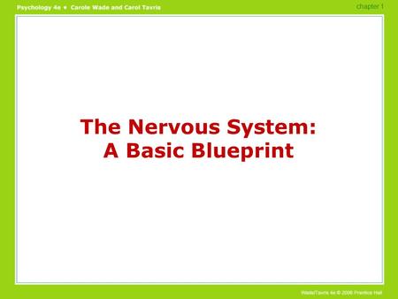 The Nervous System: A Basic Blueprint chapter 1.