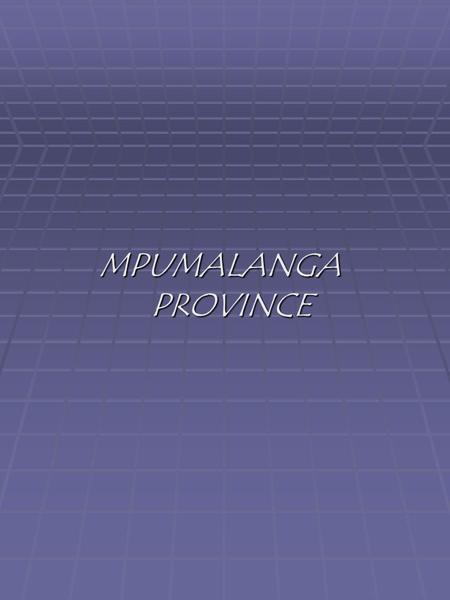 MPUMALANGA PROVINCE. PRESENTATION OF THE MPUMALANGA PROVINCE TO THE PORTFOLIO COMMITTEE IN CAPETOWN, ON THE 8TH OF MARCH 2005-03-05. 1.INTRODUCTION 