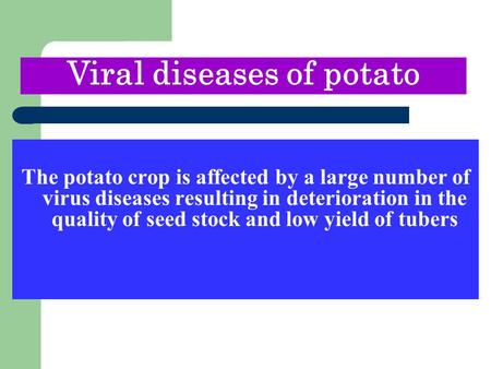 The potato crop is affected by a large number of virus diseases resulting in deterioration in the quality of seed stock and low yield of tubers Viral diseases.