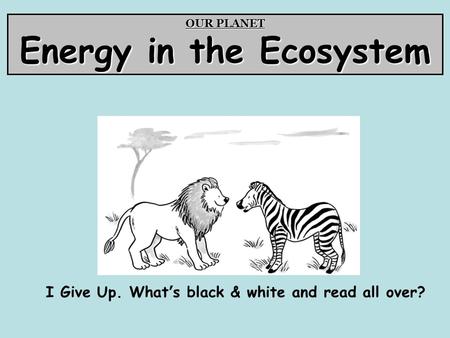 Energy in the Ecosystem