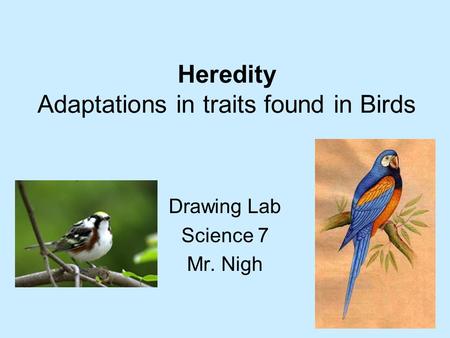 Heredity Adaptations in traits found in Birds