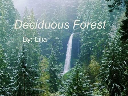 Deciduous Forest By: Lilia. Deciduous Forest Deciduous means “falling off at maturity” or “tending to fall off”. It’s often referred for trees or shrubs.