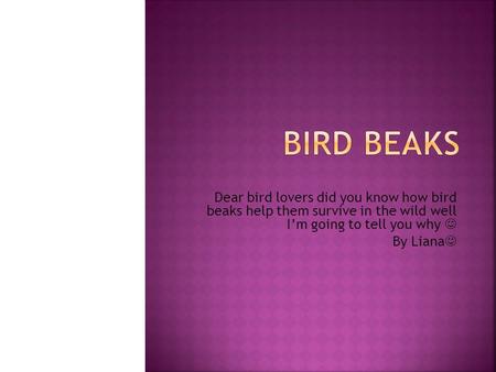 Dear bird lovers did you know how bird beaks help them survive in the wild well I’m going to tell you why By Liana.