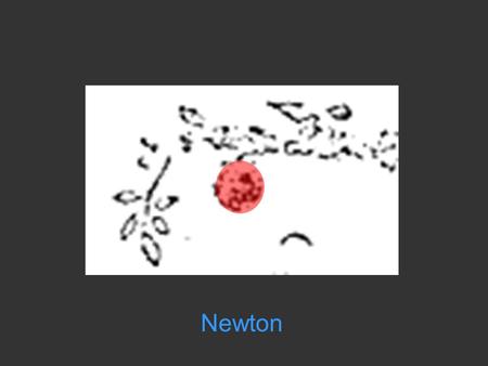 Newton Newton's Laws of Motion describe the way a body responds to applied forces.