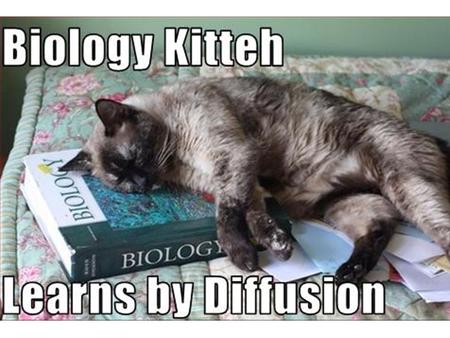 Lab 5.2: Diffusion Through a Membrane Results