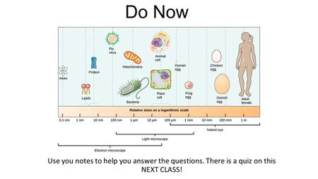 Do Now Use you notes to help you answer the questions. There is a quiz on this NEXT CLASS!