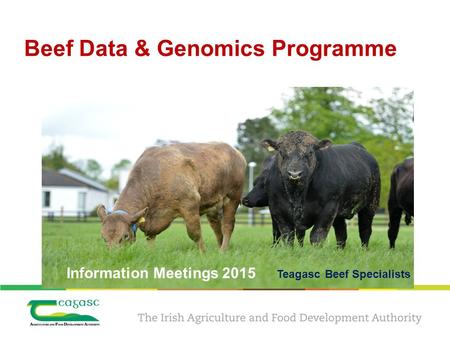 Beef Data & Genomics Programme Information Meetings 2015 Teagasc Beef Specialists.