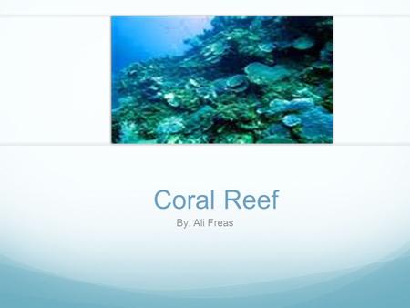 Coral Reef By: Ali Freas. Coral Reef Food Web This food web shows many different animals that survive in the coral reef. They each need each other to.