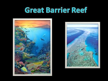 Larger than the Great Wall of China Only living thing on Earth visible from space 1,800 miles long 500,000 years old Approx 3,400 individual reefs that.