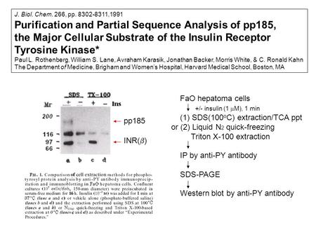 J. Biol. Chem. 266, pp. 8302-8311,1991 Purification and Partial Sequence Analysis of pp185, the Major Cellular Substrate of the Insulin Receptor Tyrosine.