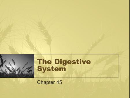 The Digestive System Chapter 45. Animals are heterotrophs Require fuel –Chemical energy is obtained from the oxidation of complex organic molecules Require.