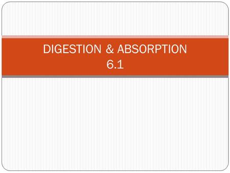 DIGESTION & ABSORPTION 6.1