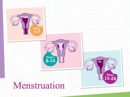 Menstruation. What are periods? Brainstorm what we think we know about periods: