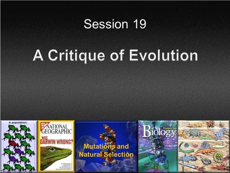 Session 19. How Evolution Happens? Millions of years of mutations add new information Selection Process Amoeba Man.