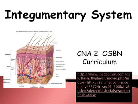 CNA 2 OSBN Curriculum  v/flash/flvplayer/movie.php?m ovie=http://ss1.medcomrn.co m/flv/78724r_sec01_300k.flv& title=&detectflash=false&detect.