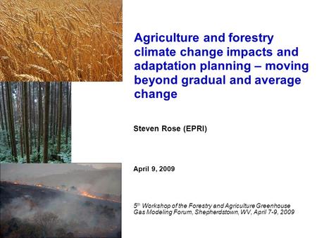 Steven Rose (EPRI) April 9, 2009 5 th Workshop of the Forestry and Agriculture Greenhouse Gas Modeling Forum, Shepherdstown, WV, April 7-9, 2009 Agriculture.