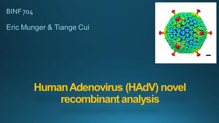 Human Adenovirus (HAdV) novel recombinant analysis