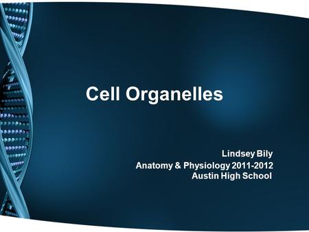 Cell Organelles Lindsey Bily Anatomy & Physiology 2011-2012 Austin High School.