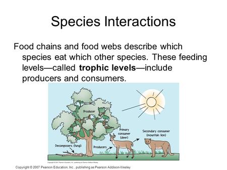 Copyright © 2007 Pearson Education, Inc., publishing as Pearson Addison-Wesley Species Interactions Food chains and food webs describe which species eat.