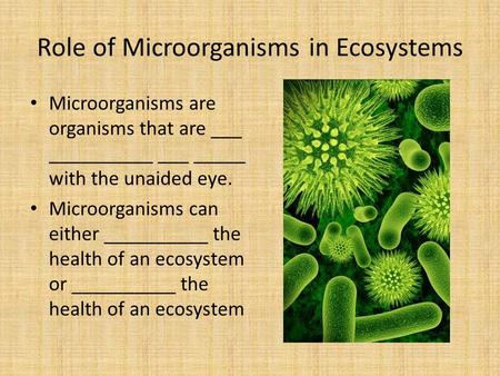 Role of Microorganisms in Ecosystems Microorganisms are organisms that are ___ __________ ___ _____ with the unaided eye. Microorganisms can either __________.