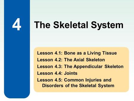 4 Lesson 4.1: Bone as a Living Tissue Lesson 4.2: The Axial Skeleton Lesson 4.3: The Appendicular Skeleton Lesson 4.4: Joints Lesson 4.5: Common Injuries.