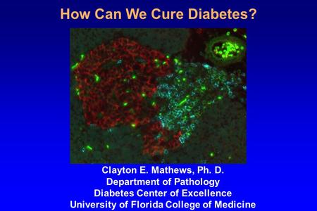 How Can We Cure Diabetes? Clayton E. Mathews, Ph. D. Department of Pathology Diabetes Center of Excellence University of Florida College of Medicine.