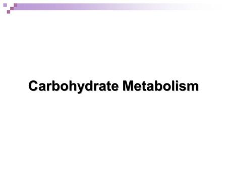 Carbohydrate Metabolism