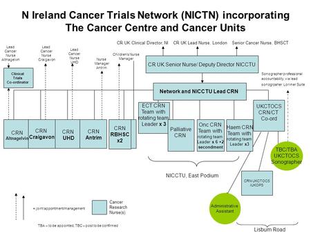 N Ireland Cancer Trials Network (NICTN) incorporating The Cancer Centre and Cancer Units CR UK Clinical Director, NICR UK Lead Nurse, LondonSenior Cancer.