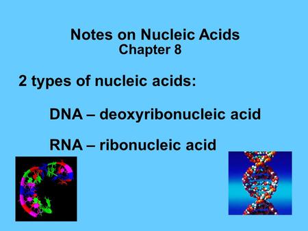 Notes on Nucleic Acids 2 types of nucleic acids: DNA – deoxyribonucleic acid RNA – ribonucleic acid Chapter 8.