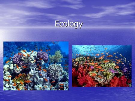 Ecology. What is Ecology? Ecology is the study of interactions among organisms, and between organisms and their environment. Ecology is the study of interactions.