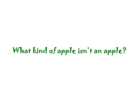 What kind of apple isn’t an apple?. What mouse won’t eat cheese?