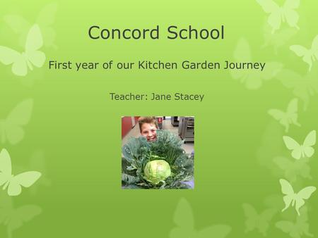 Concord School First year of our Kitchen Garden Journey Teacher: Jane Stacey.