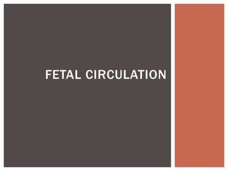 FETAL CIRCULATION. FETAL HEART FORMATION FETAL CIRCULATION.