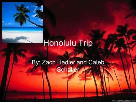 Honolulu Trip By: Zach Hadler and Caleb Schaller.