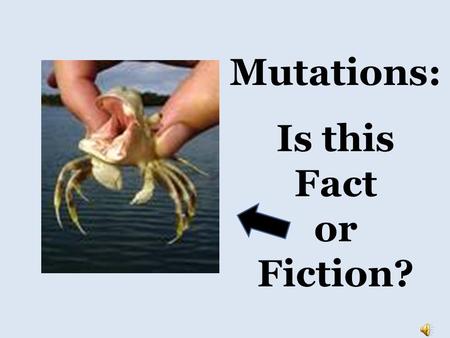 Is this Fact or Fiction? Mutations: What causes mutations?