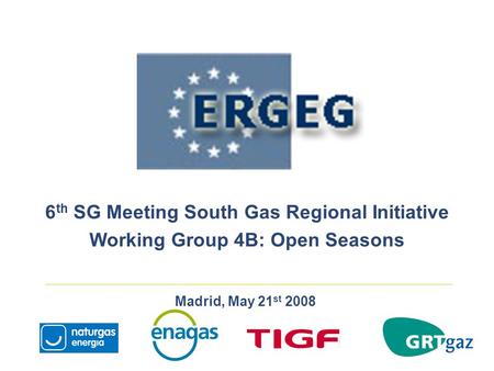 Madrid, May 21 st 2008 6 th SG Meeting South Gas Regional Initiative Working Group 4B: Open Seasons.