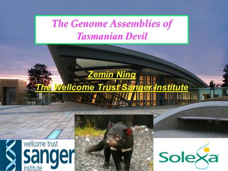 The Genome Assemblies of Tasmanian Devil Zemin Ning The Wellcome Trust Sanger Institute.