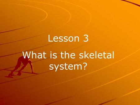 Lesson 3 What is the skeletal system?. You have seen a house being built? It starts as a frame, which supports the whole house.